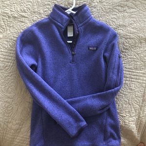 Purple Patagonia Better Sweater 1/4-Zip Fleece